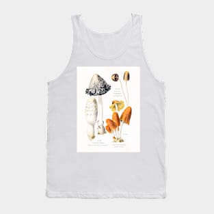 Mushroom species Tank Top